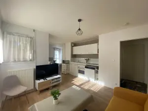 Location appartement Angers 49100 Maine-et-Loire 49 34 m2 1 pièce 715 euros 49009-L116 001