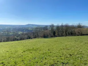 Terrains de loisirs bois etangs a vendre Tessy-Bocage 50420 Manche 50 19800 euros 50038-2579 001