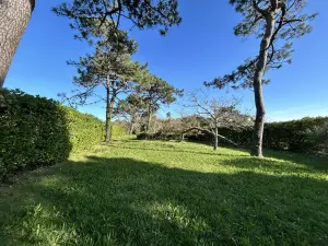 Terrain a batir a vendre Bangor 56360 Morbihan 56 186300 euros 56026-1121 001