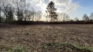 Terrain a batir a vendre Cléden-Poher 29270 Finistère 29 53235 euros 29066-3771 001