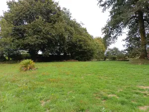 Terrain a batir a vendre Plouay 56240 Morbihan 56 142335 euros 56032-1669 001