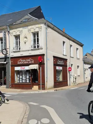 Immeuble de rapport a vendre Montoire-sur-le-Loir 41800 Loir-et-Cher 41 121 m2 290920 euros 41059-860 001