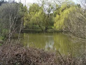 Terrains de loisirs bois etangs a vendre Nuillé-sur-Vicoin 53970 Mayenne 53 126300 euros 53032-957 001