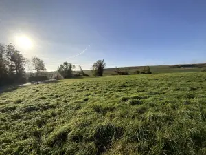 Terrain a batir a vendre Poilly 51170 Marne 51 60000 euros 51066-1602 001