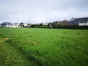Terrain a batir a vendre Le Mesnil-Ozenne 50220 Manche 50 900 m2 37040 euros LOT2474 001