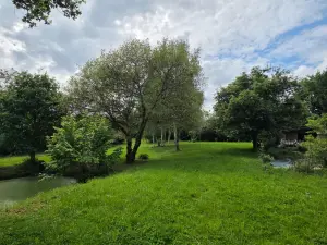 Terrains de loisirs bois etangs a vendre Fromentières 53200 Mayenne 53 27600 euros 53007-2196 001