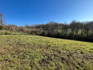 Terrain a batir a vendre Viazac 46100 Lot 46 2467 m2 34000 euros VT079 001