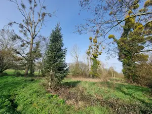 Divers a vendre Poilley 50220 Manche 50 2750 m2 6200 euros TA547 001