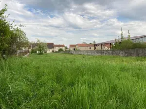 Terrain a batir a vendre Bourgogne-Fresne 51110 Marne 51 114500 euros 51067-139 001