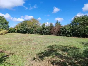 Terrain a batir a vendre Notre-Dame-d'Allençon 49380 Maine-et-Loire 49 851 m2 59200 euros achat_terrain_a_batir_comd_49227 001