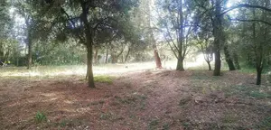 Terrain a batir a vendre Saint-Pierre-d'Oléron 17310 Charente-Maritime 17 230400 euros DD/JOM/25-12 001