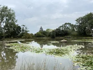 Terrains de loisirs bois etangs a vendre Brée 53150 Mayenne 53 69000 euros 53004-1342 001