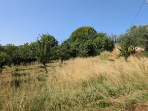 Terrain a batir a vendre Montoison 26800 Drôme 26 191000 euros 26072-786 001
