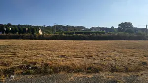 Terrain a batir a vendre Le Val-Saint-Père 50300 Manche 50 531 m2 67720 euros TAB630 001