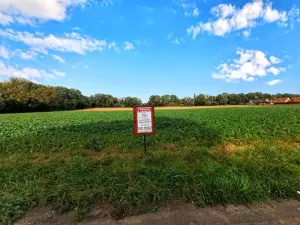 Terrain a batir a vendre Vitry-en-Artois 62490 Pas-de-Calais 62 85000 euros 62017-3277 001