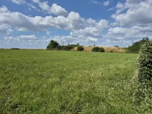 Terrain a batir a vendre Neuville-Saint-Vaast 62580 Pas-de-Calais 62 117200 euros 62135-2209 001