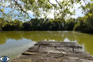 Terrains de loisirs bois etangs a vendre Vaiges 53480 Mayenne 53 69000 euros 53004-1365 001