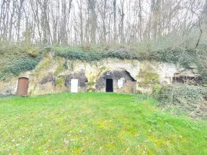Divers a vendre Saint-Rimay 41800 Loir-et-Cher 41 87 m2 4 pièces 19800 euros 41059-1013 001