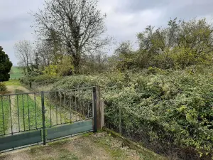 Terrain a batir a vendre Sepmes 37800 Indre-et-Loire 37 33000 euros 37072-670 001