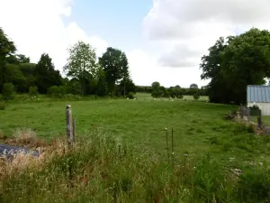 Terrain a batir a vendre Sainte-Marie-Laumont 14350 Calvados 14 38000 euros 14076-5511 001