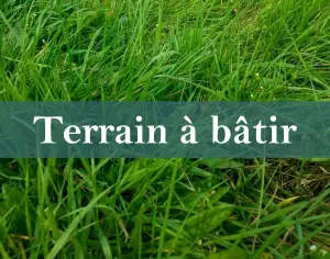 Terrain a batir a vendre Allonnes 49650 Maine-et-Loire 49 23450 euros 49076-293 001
