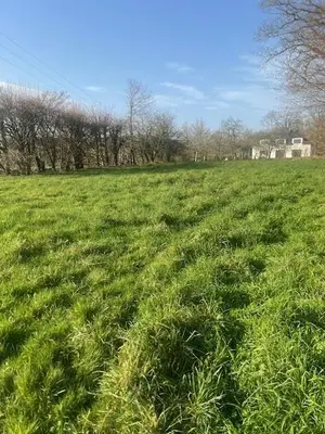 Terrain a batir a vendre Grand-Champ 56390 Morbihan 56 134550 euros 56001-1206 001