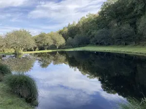 Terrains de loisirs bois etangs a vendre Melrand 56310 Morbihan 56 32400 euros 56064-1447 001
