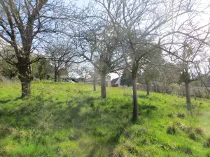 Terrain a batir a vendre Roullours 14500 Calvados 14 38000 euros 14076-4986 001
