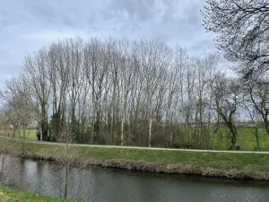 Terrains de loisirs bois etangs a vendre Le Mans 72000 Sarthe 72 11800 euros 72126-2902 001