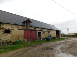 Bien agricole a vendre Morannes sur Sarthe-Daumeray 49640 Maine-et-Loire 49 406532 m2 312000 euros 49096-1343 001