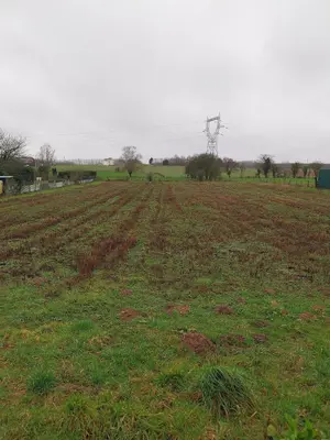 Terrain a batir a vendre Tincques 62127 Pas-de-Calais 62 53000 euros 62113-1260 001