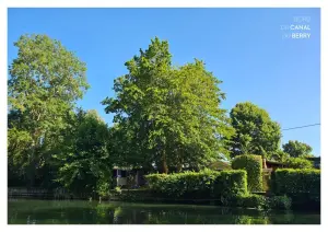 Terrains de loisirs bois etangs a vendre Vierzon 18100 Cher 18 39800 euros 18058-126 001