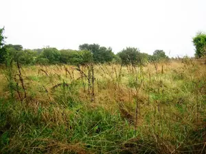 Terrain a batir a vendre Locmalo 56160 Morbihan 56 19188 euros 56075-1983 001