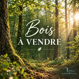 Terrains de loisirs bois etangs a vendre Lavardin 41800 Loir-et-Cher 41 129875 euros 41059-1041 001