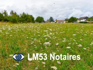 Terrain a batir a vendre Bierné-les-Villages 53290 Mayenne 53 37500 euros 53004-1234 001