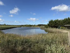 Terrains de loisirs bois etangs a vendre Rue 80120 Somme 80 188000 euros 80121-2797 001