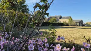 Terrain a batir a vendre Angrie 49440 Maine-et-Loire 49 39000 euros 49095-1616 001