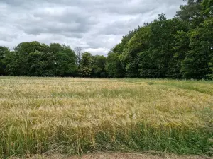 Terrains de loisirs bois etangs a vendre Val d'Oust 56460 Morbihan 56 1790 euros 56050-712 001