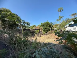Terrain a batir a vendre Saint-Joseph 97480 La Réunion 974 110775 euros 97410-720 001