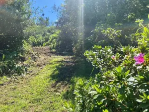 Terrain a batir a vendre Le Tampon 97430 La Réunion 974 107500 euros 97409-298 001