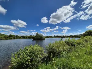 Terrains de loisirs bois etangs a vendre Saint-Marcel 56140 Morbihan 56 188910 euros 56049-786 001