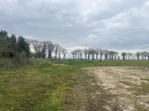 Terrain a batir a vendre Taupont 56800 Morbihan 56 104750 euros 56044-1495 001