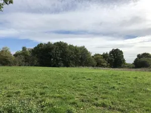 Terrain a batir a vendre Écuillé 49460 Maine-et-Loire 49 73360 euros 49031-2722 001