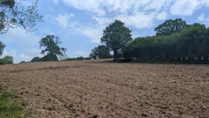 Terrains de loisirs bois etangs a vendre Rouffigny 50800 Manche 50 25375 euros 50038-2617 001