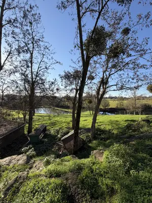 Terrain a batir a vendre Cholet 49300 Maine-et-Loire 49 94500 euros 49055-82 001