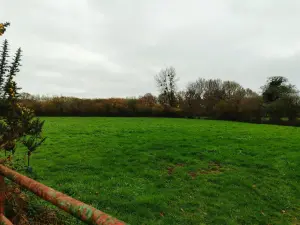 Terrains de loisirs bois etangs a vendre Varenguebec 50250 Manche 50 42880 euros 50061-2931 001