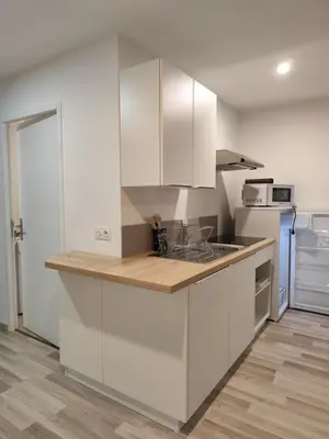 Location appartement Amilly 45200 Loiret 45 35 m2 535 euros 45052-L298 001