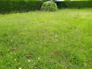 Terrain a batir a vendre Champigné 49330 Maine-et-Loire 49 31800 euros 49096-1339 001