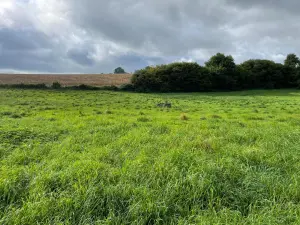 Terrains de loisirs bois etangs a vendre Reffuveille 50520 Manche 50 21800 euros 50020-1438 001