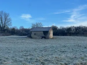 Terrains de loisirs bois etangs a vendre Vimoutiers 61120 Orne 61 36570 euros 14058-1692 001